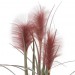 Декоративное растение "Розовые колоски" высота 80 см