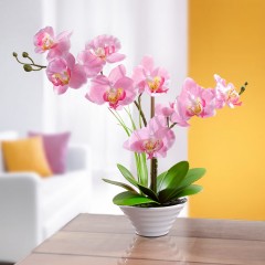 Декоративное растение "Орхидея" в горшке 