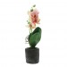Декоративное растение "Орхидея", высота 32 см