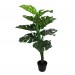 Декоративное растение "Филодендрон", высота 90 см